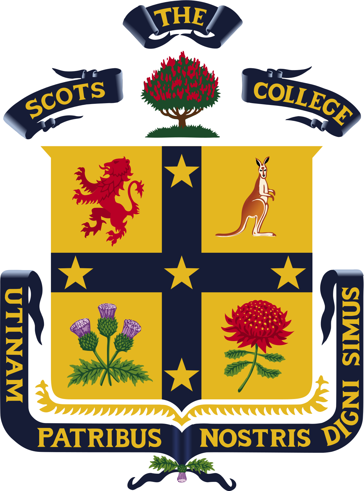 53321561-0-1200px-ScotsLogoDisp 53321561-0-1200px-ScotsLogoDisp