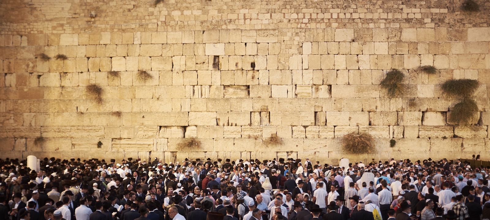 israel israel